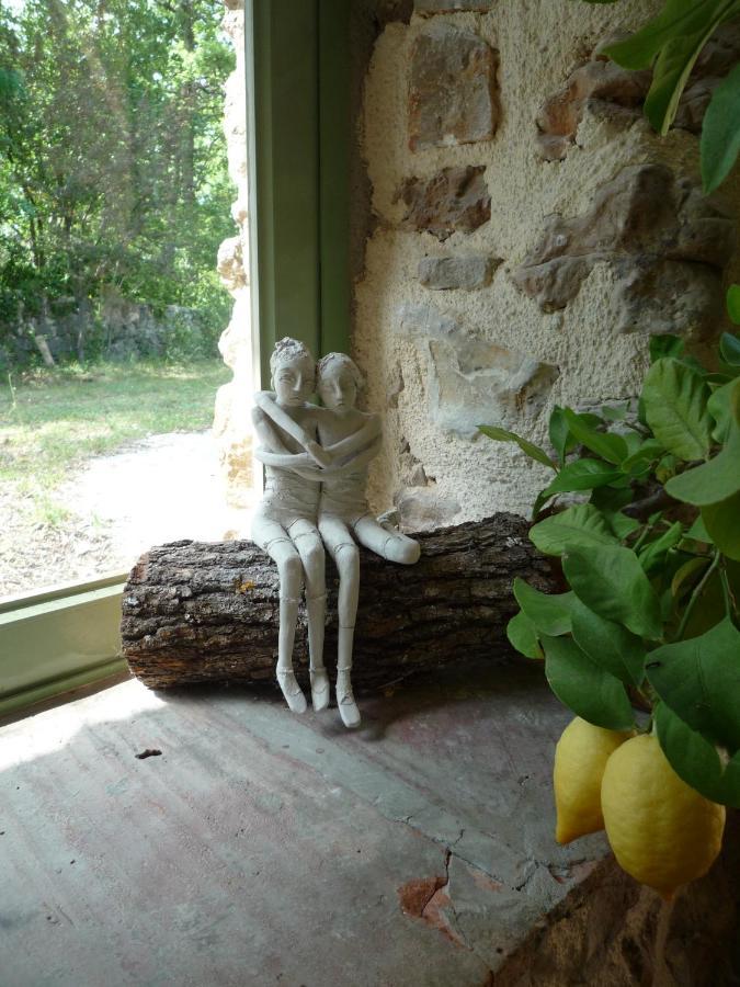 La Rose Des Vents Bed and Breakfast Montauroux Εξωτερικό φωτογραφία