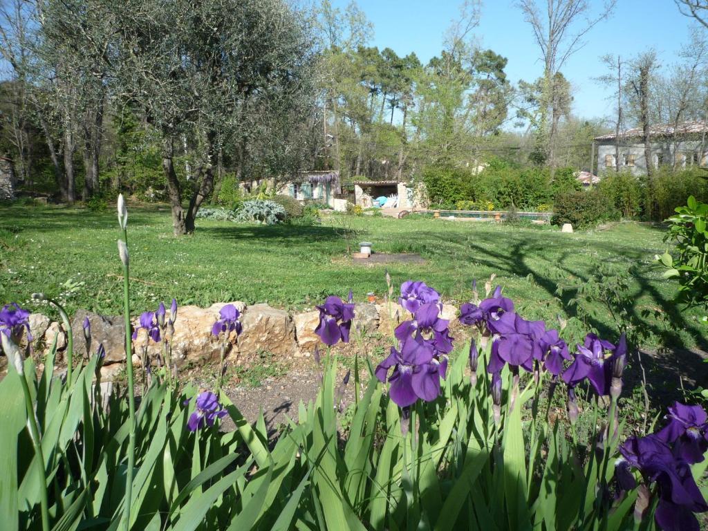 La Rose Des Vents Bed and Breakfast Montauroux Εξωτερικό φωτογραφία